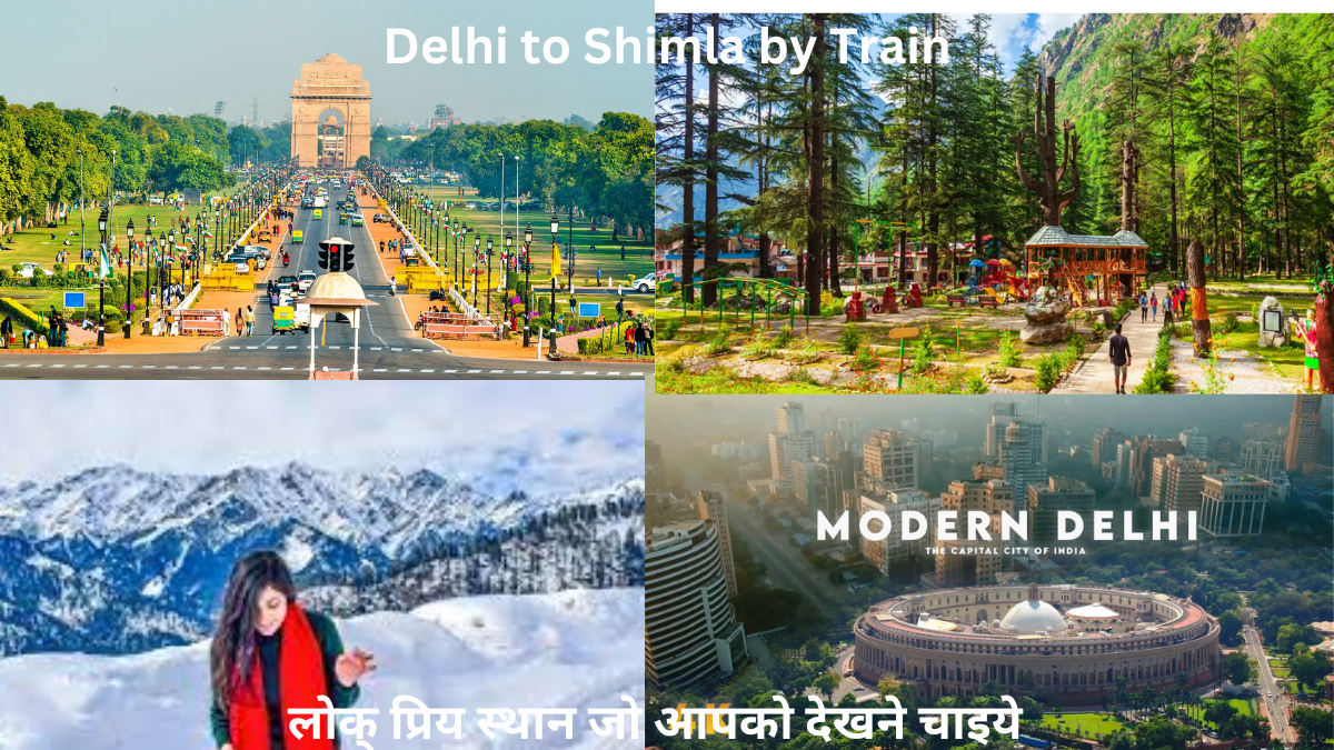 Riding the Rails A Scenic Odyssey from Delhi to Shimla by Train